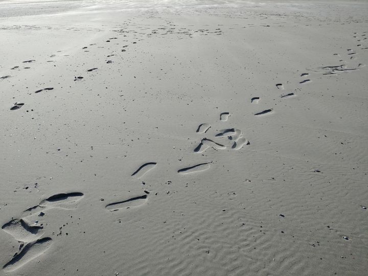 Fußspuren am nassen Sandstrand